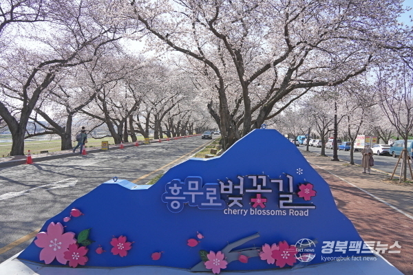 흥무로 벚꽃길 (사진 = 경주시)