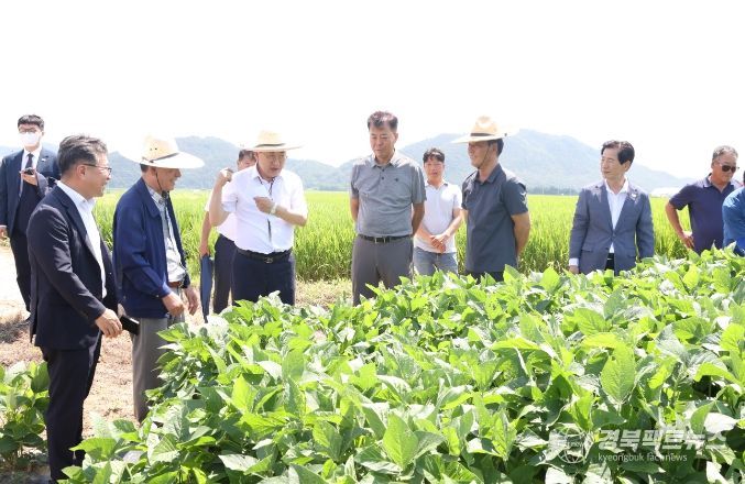 경주시는 18일 안강읍 육통리에서 혁신농업타운 현장간담회를 진행했다