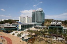 포항시, 흥해 도시재생사업 종합성과 용역 중간보고회 개최