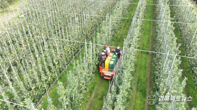 청송군, 2026년도 과수생산분야 지원사업 신청접수