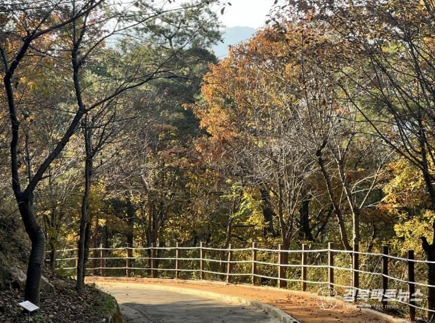 상주시, 가을빛에 물든 성주봉자연휴양림