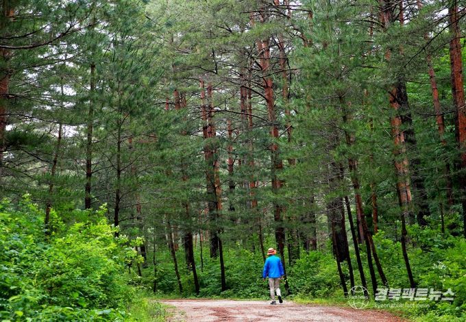 단풍길을 걷고 바다 미식즐기는 울진여행
