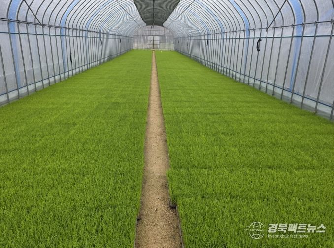 벼 농사의 첫걸음, 내년도 벼 보급종 신청하세요