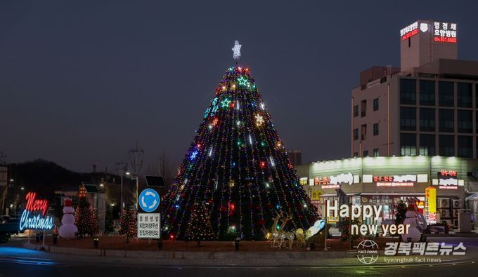 2025 성탄트리 점등, 새해 희망을 향한 빛 밝혀