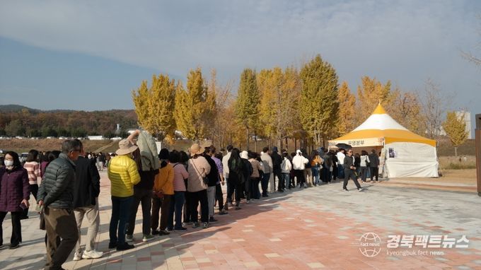 고령 다산 은행나무숲 가을나들이 행사 성료