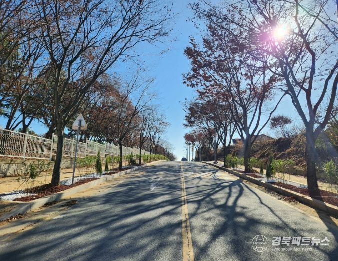 의성읍 시가지 400m ‘띠녹지 가로수길’ 조성