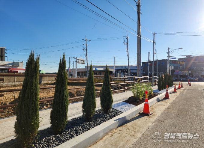 의성군, 안계면 가로수 정비로 거리미관 개선