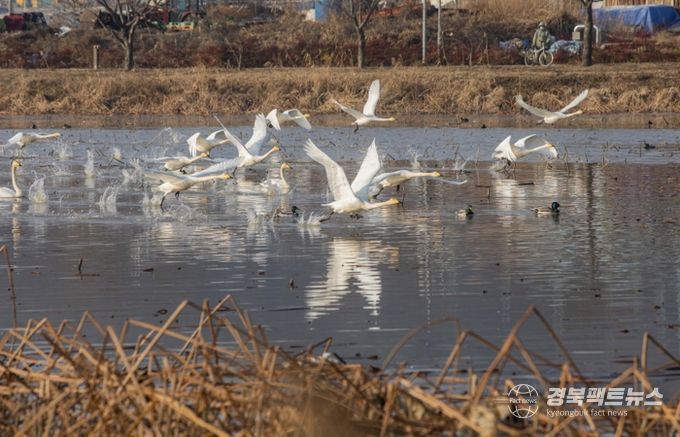 국비 4억5천만 원 확보한 구미시, 지산샛강 생태복원 본격화