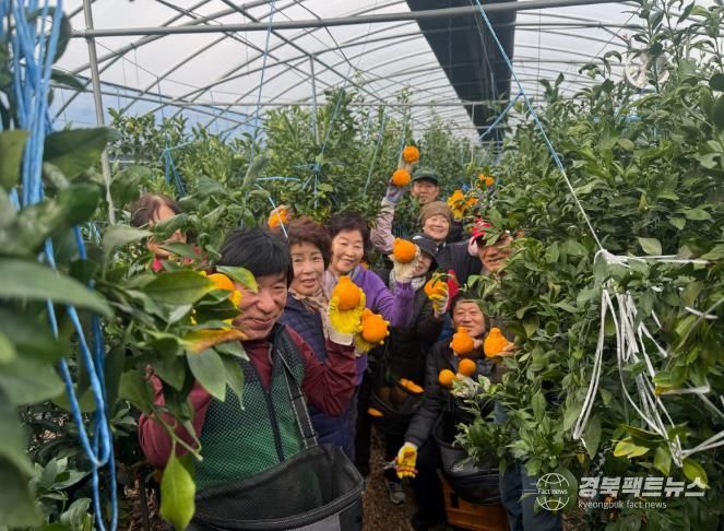 고령군 도민행복대학2기 동창회, 농가 일손돕기 봉사활동 펼쳐