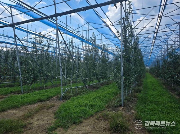 노지 스마트 기술 경북 확산 선도