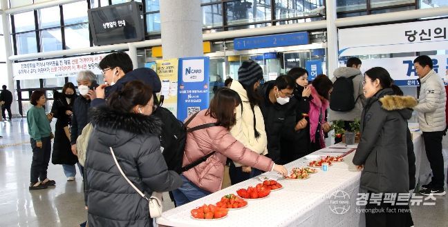 새콤달콤 프리미엄 딸기‘비타킹’홍보