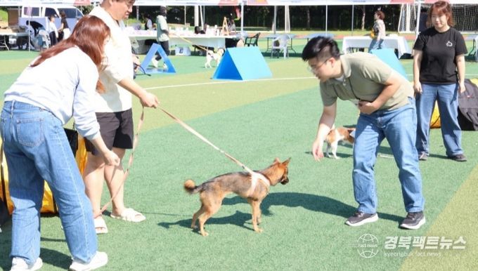 2024 열린 포항시 반려동물문화축제 모습.