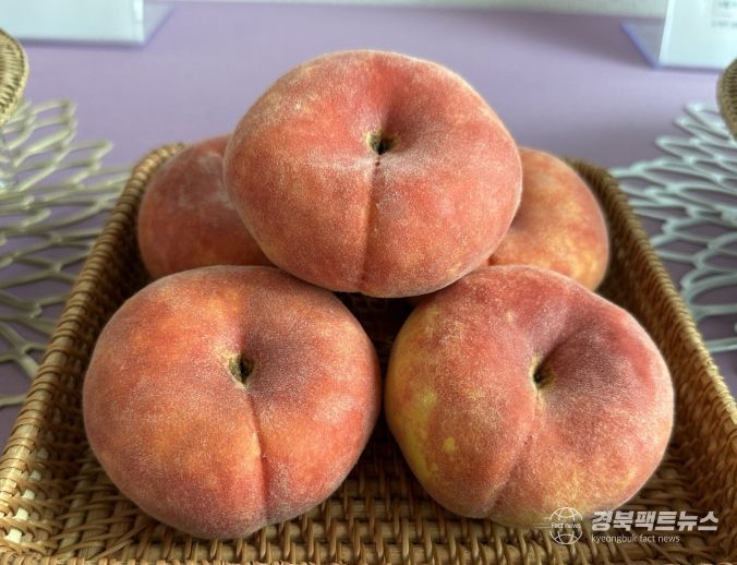 경북농업기술원, 복숭아 2가지 신품종 품종보호출원